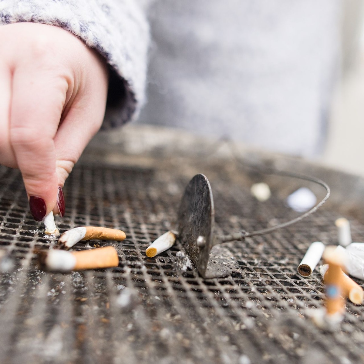 Auch die Politik ist laut Experten gefragt. (Symbolbild) - Foto: Sebastian Gollnow/dpa