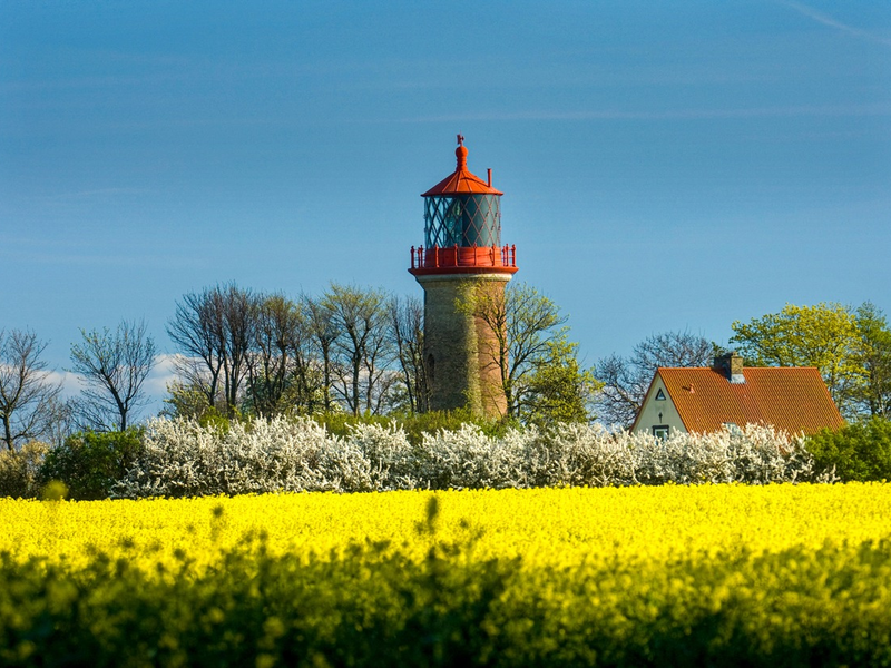 Rapsblüte 2025 / Schwarz, Rot, Gelb - Foto: presseportal.de
