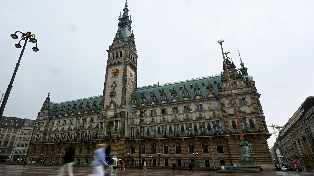 Sieben Wochen nach der Bürgerschaftswahl haben SPD und Grünen in Hamburg ihre Koalitionsverhandlungen abgeschlossen. (Archivbild) - Foto: David Hammersen/dpa