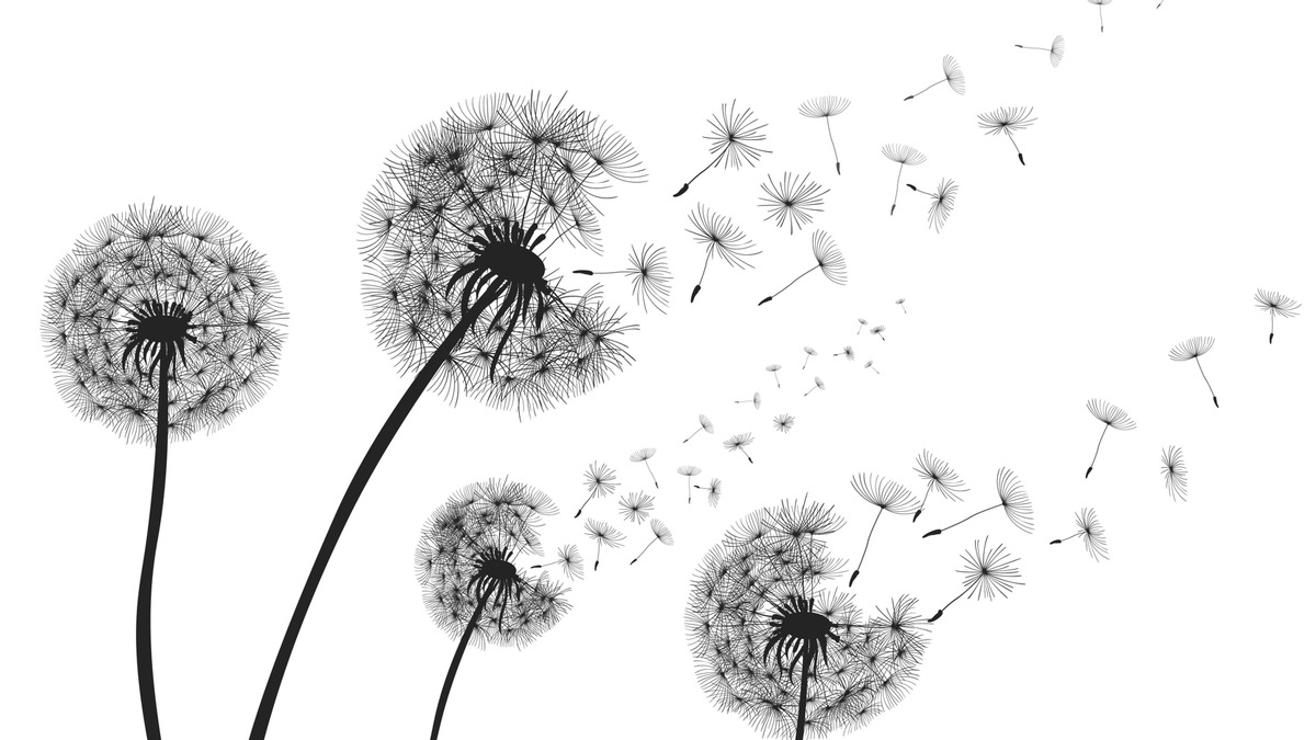 Heuschnupfen: Warum Allergien schlimmer werden - Foto: presseportal.de