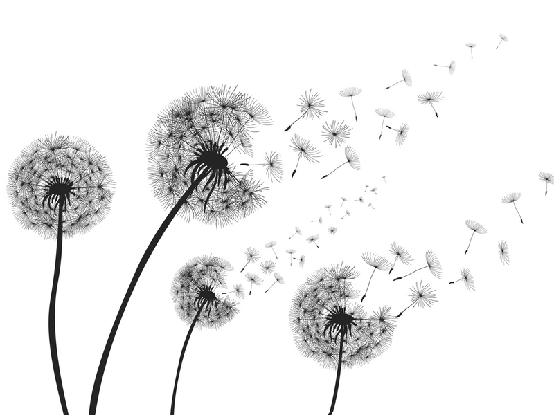 Heuschnupfen: Warum Allergien schlimmer werden - Foto: presseportal.de