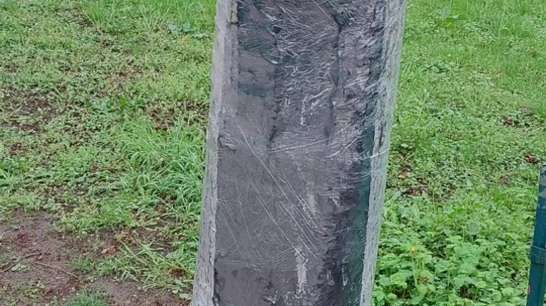 POL-SE: Wedel - Polizei sucht Hinweise zu zwei Sachbeschädigungen - Verstopfte Drainage überschwemmt landwirtschaftliche Fläche - Zudem mutwillig beschädigte Bäume im Stadtgebiet - Bild: presseportal.de