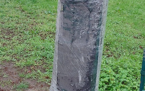 POL-SE: Wedel - Polizei sucht Hinweise zu zwei Sachbeschädigungen - Verstopfte Drainage überschwemmt landwirtschaftliche Fläche - Zudem mutwillig beschädigte Bäume im Stadtgebiet - Foto: presseportal.de