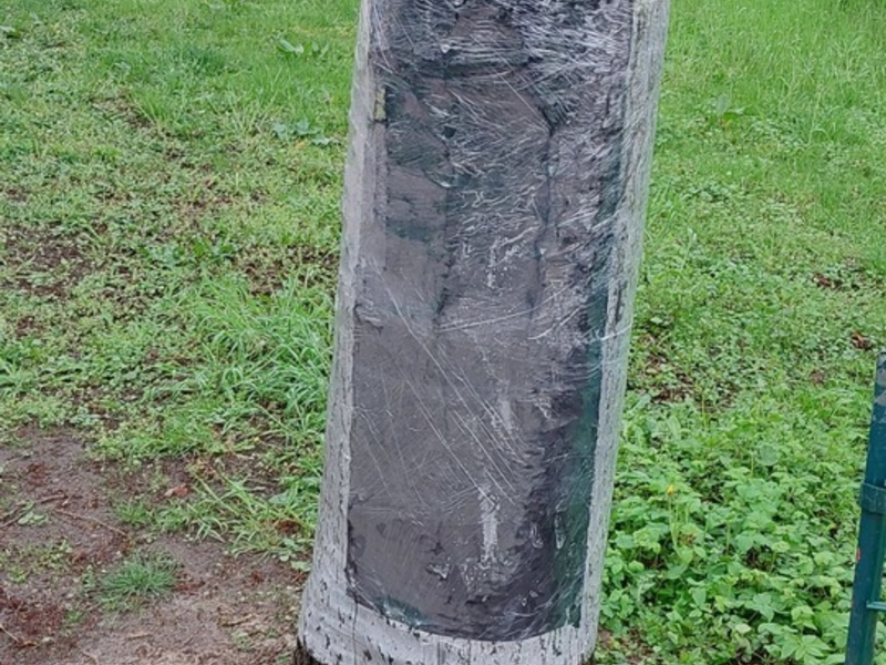 POL-SE: Wedel - Polizei sucht Hinweise zu zwei Sachbeschädigungen - Verstopfte Drainage überschwemmt landwirtschaftliche Fläche - Zudem mutwillig beschädigte Bäume im Stadtgebiet - Foto: presseportal.de