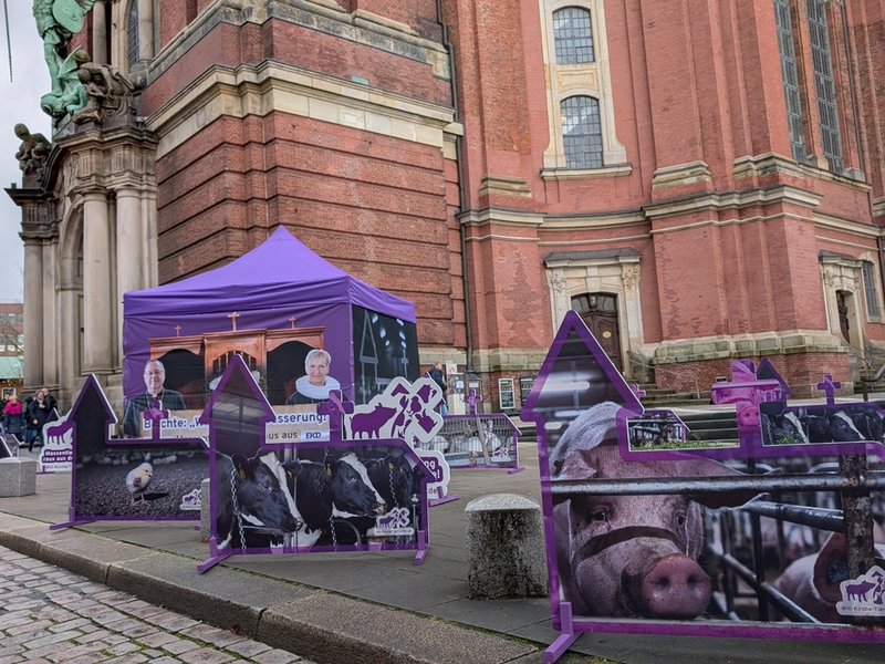 Tierschutzprotest zum Kirchentag: Motto mutig - stark - beherzt sollte auch für Tierschutz gelten - Foto: presseportal.de