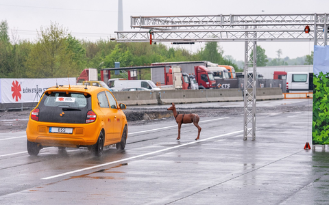 Das Auto landet nach dem Ausweichen im Straßengraben. - Foto: Guido Kirchner/dpa