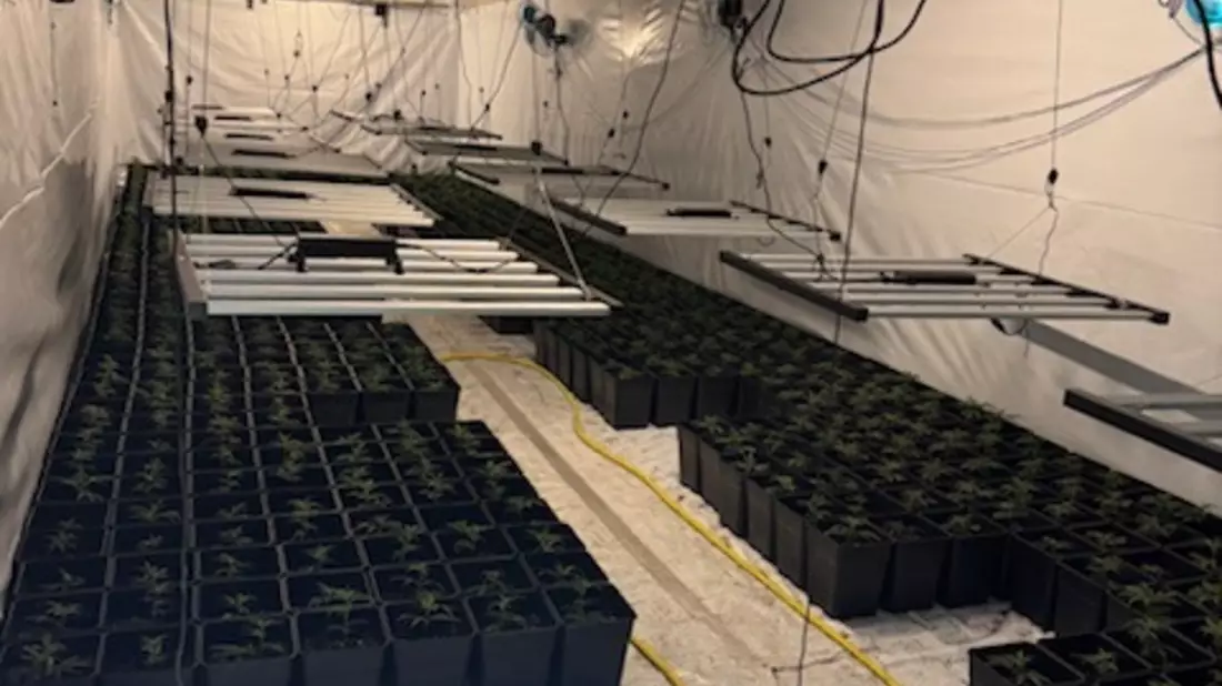 POL-GÖ: (135/2025) Zwei weitere Indoor-Plantagen im Altkreis Osterode entdeckt - Über 2.000 Pflanzen und umfangreiche Anbautechnik beschlagnahmt, 56-Jähriger festgenommen, Ermittlungskommission eingerichtet - Bild: presseportal.de