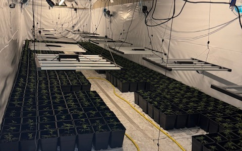 POL-GĂ: (135/2025) Zwei weitere Indoor-Plantagen im Altkreis Osterode entdeckt - Ăber 2.000 Pflanzen und umfangreiche Anbautechnik beschlagnahmt, 56-JĂ€hriger festgenommen, Ermittlungskommission eingerichtet - Foto: presseportal.de POL-GĂ: (135/2025) Zwei weitere Indoor-Plantagen im Altkreis Osterode entdeckt - Ăber 2.000 Pflanzen und umfangreiche Anbautechnik beschlagnahmt, 56-JĂ€hriger festgenommen, Ermittlungskommission eingerichtet - Foto: presseportal.de