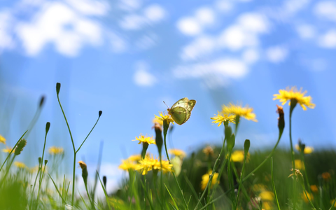 Die Meteorologen erwarten blauen Himmel und Sonnenschein über Deutschland.  - Foto: Karl-Josef Hildenbrand/dpa