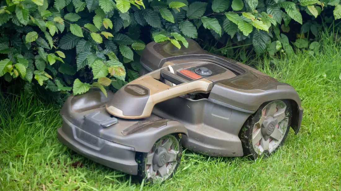 Mähroboter sind vielen Gartenliebhabern lieb als Helfer. Doch sie sind gefährlich für Wildtiere. (Symbol-Foto).  - Bild: Monika Skolimowska/dpa