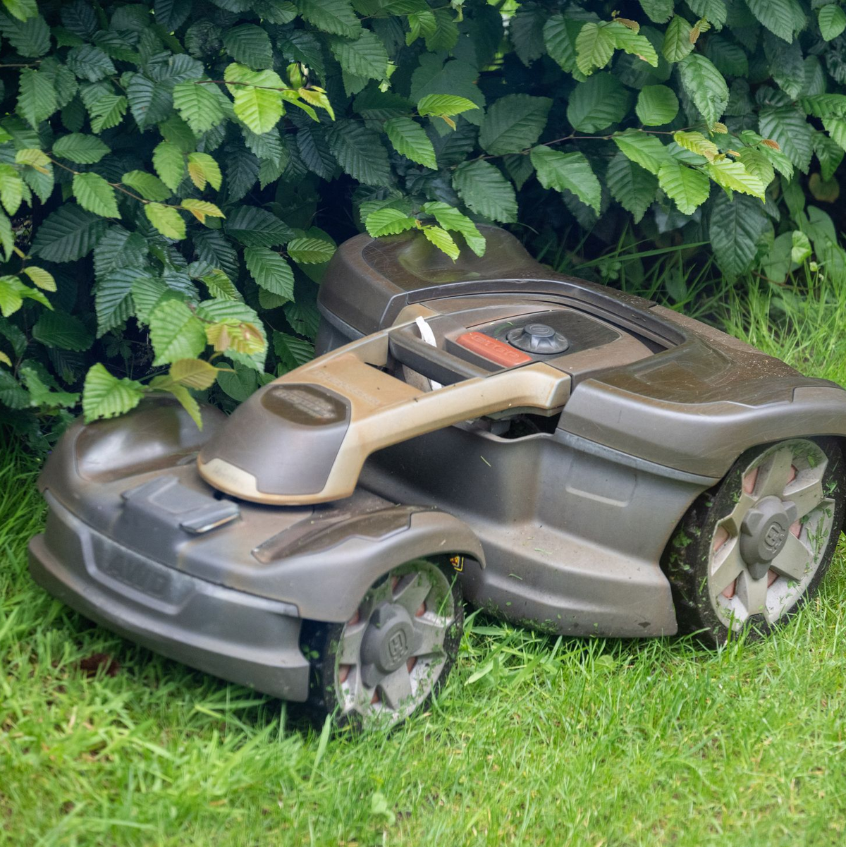 Auch ein Mähroboter sollte bei der Aktion «mähfreier Mai» nicht eingesetzt werden. (Archivbild) - Foto: Monika Skolimowska/dpa