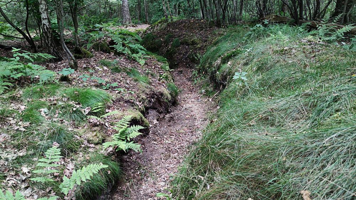 Schützengraben aus dem 2. Weltkrieg (Archiv) - Foto: über dts Nachrichtenagentur