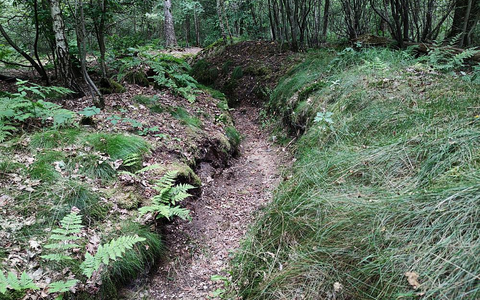 Schützengraben aus dem 2. Weltkrieg (Archiv) - Foto: über dts Nachrichtenagentur