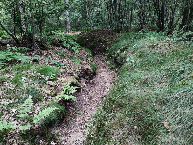 Schützengraben aus dem 2. Weltkrieg (Archiv) - Foto: über dts Nachrichtenagentur