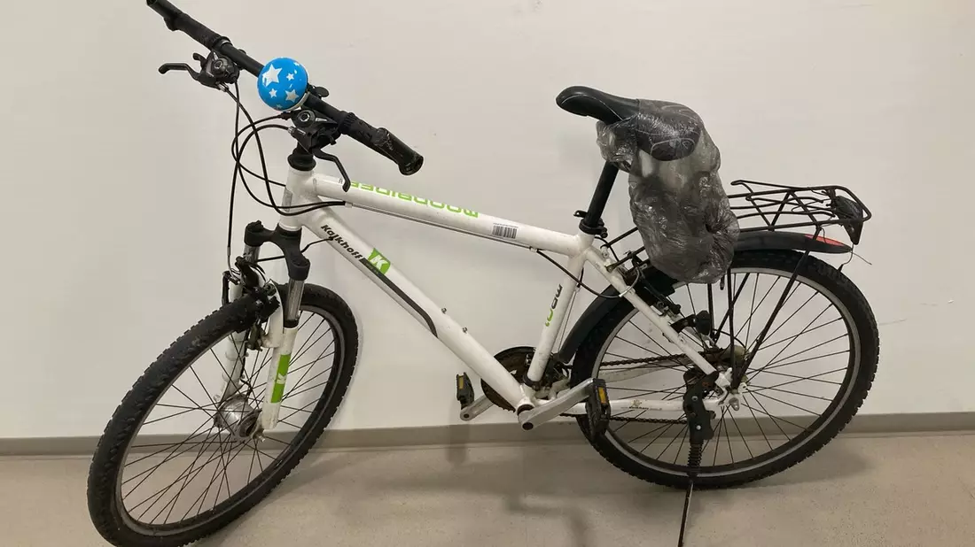 POL-LIP: Horn-Bad Meinberg. Fundfahrrad - Eigentümer gesucht! - Bild: presseportal.de