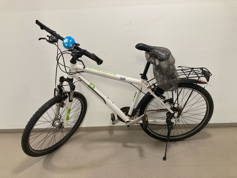 POL-LIP: Horn-Bad Meinberg. Fundfahrrad - Eigentümer gesucht! - Foto: presseportal.de