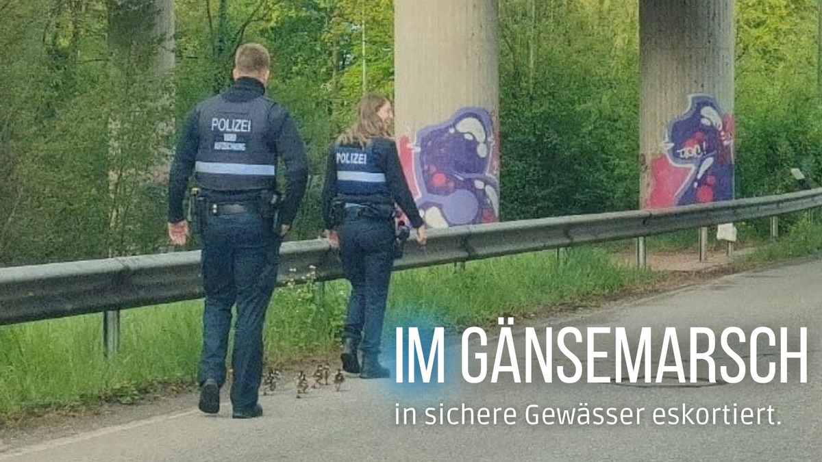 POL-PIZW: Polizei-Eskorte für Gänse-Familie - Foto: presseportal.de