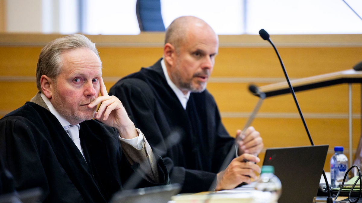 Im Strafprozess gegen vier Angeklagte im VW-Abgasskandal werden in diesen Tagen die Plädoyers der Verteidigung gehalten. (Archivbild) - Foto: Michael Matthey/dpa-Pool/dpa