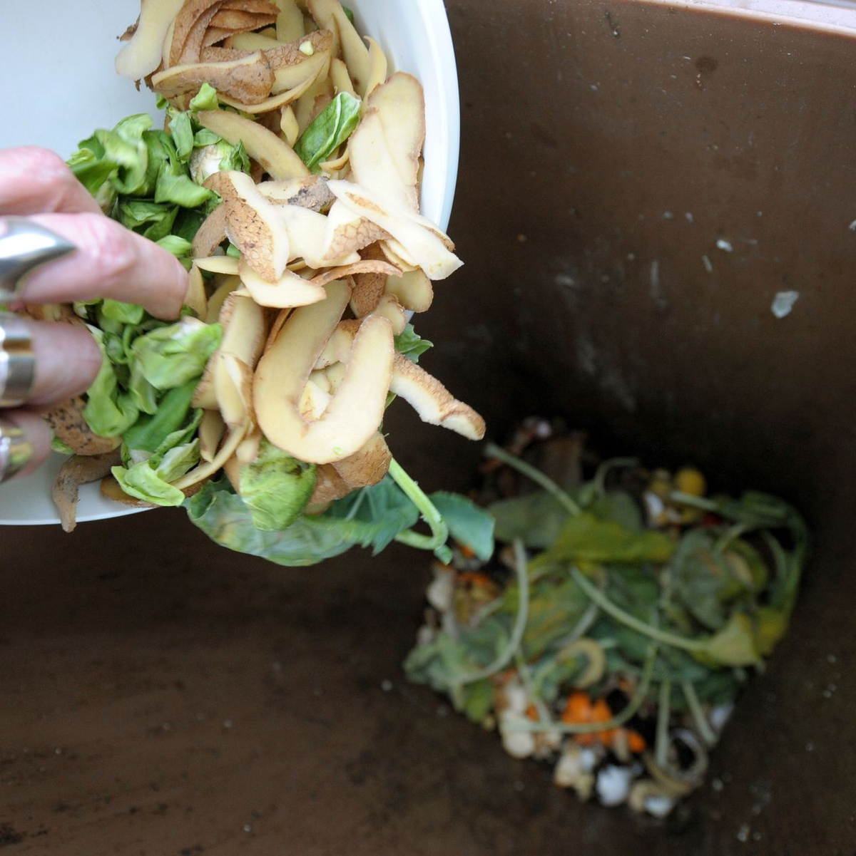 Beim Biomüll gelten neue Regeln. (Archivbild) - Foto: Peter Steffen/dpa