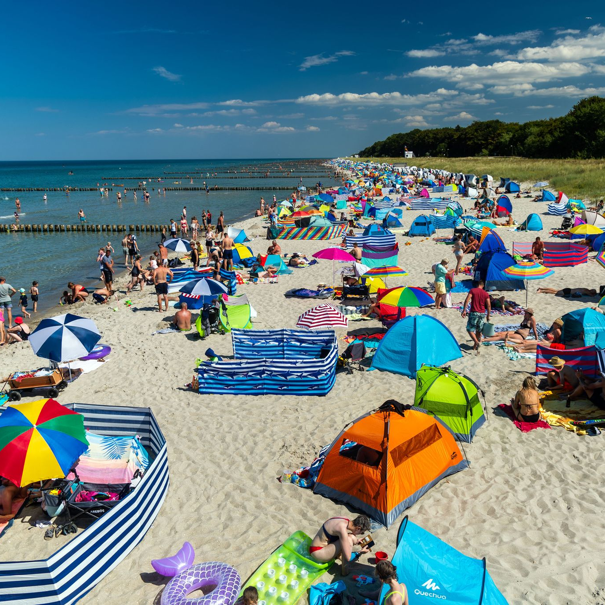 Wer auf der Ostsee-Halbinsel Fischland-Darß-Zingst leben möchte, muss dem Küstenreport zufolge für seine Immobilie im Schnitt fast 4.500 Euro pro Quadratmeter bezahlen. (Archivbild) - Foto: Jens Büttner/dpa