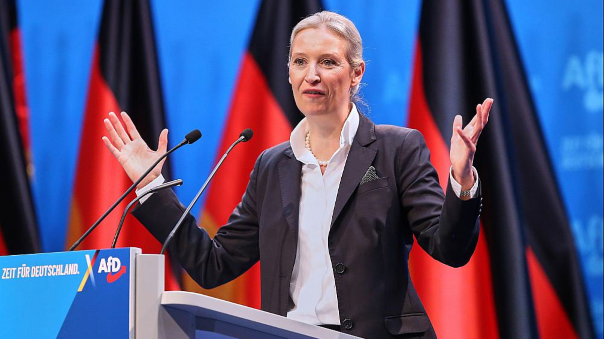 Alice Weidel (Archiv) - Foto: über dts Nachrichtenagentur