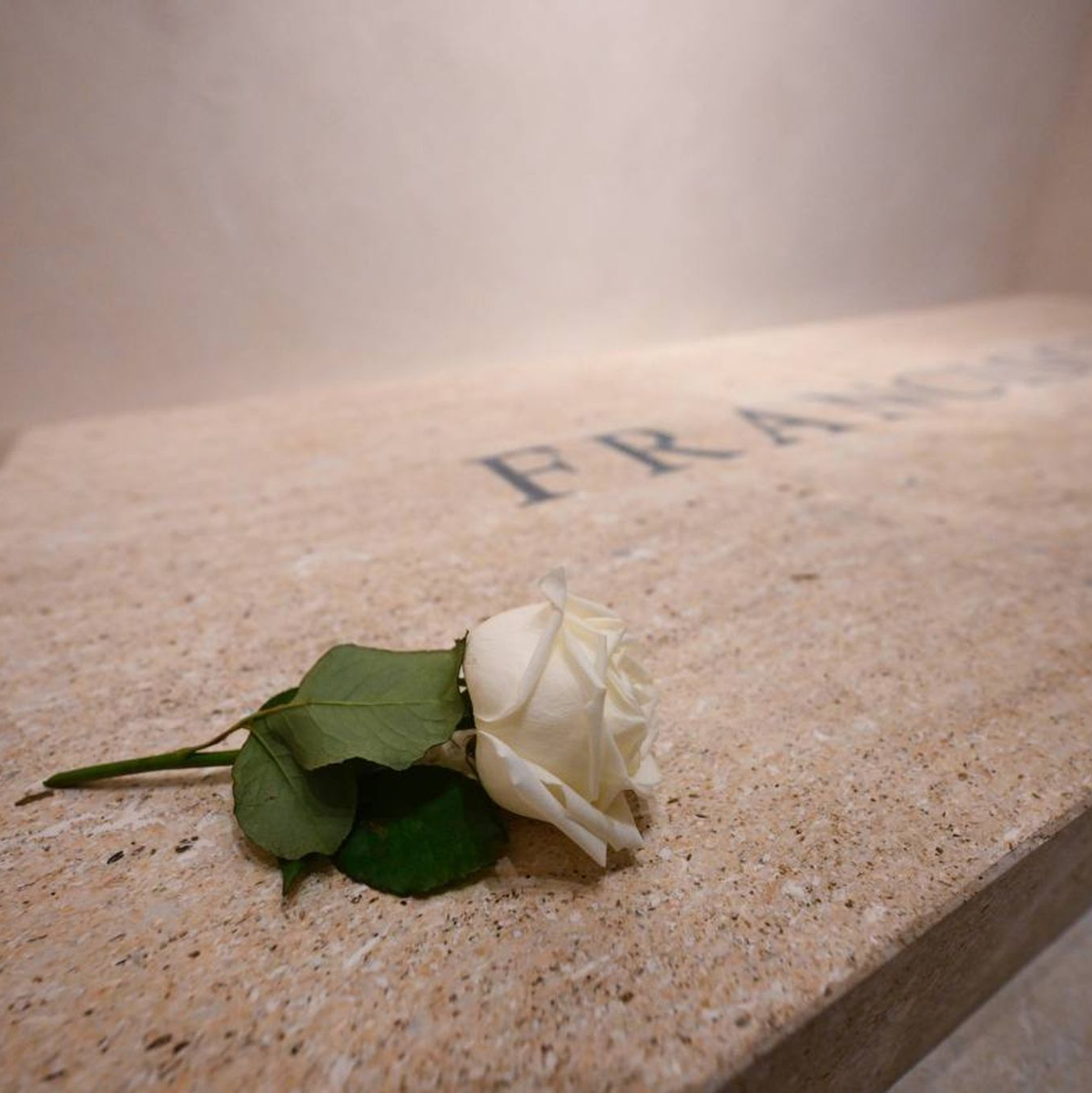 Eine weiße Rose liegt auf dem Grab von Papst Franziskus - Foto: Vatican Media/dpa