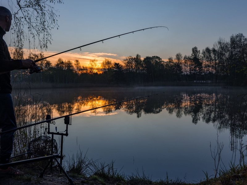 Die Stimmung bei den Anglern in Brandenburg ist getrübt: Die «Anglerkönigin 2024» wird nach einem besonders großen Fang ausgezeichnet, aber mit Hassnachrichten im Netz konfrontiert.  (Symbolbild) - Foto: Frank Hammerschmidt/dpa