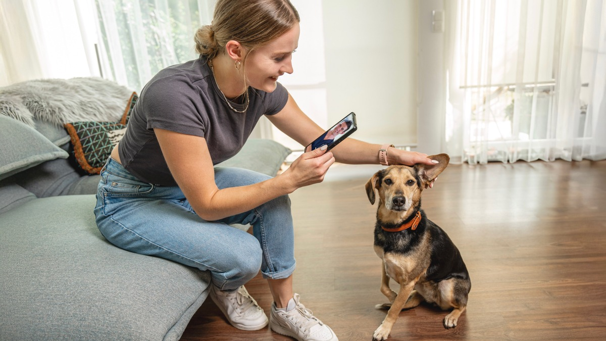 DAS FUTTERHAUS kooperiert mit HaustierDocs.de / Tierärztliche 24/7-Online-Beratung als neuer Service - Foto: presseportal.de