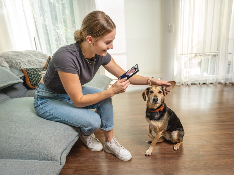 DAS FUTTERHAUS kooperiert mit HaustierDocs.de / Tierärztliche 24/7-Online-Beratung als neuer Service - Foto: presseportal.de