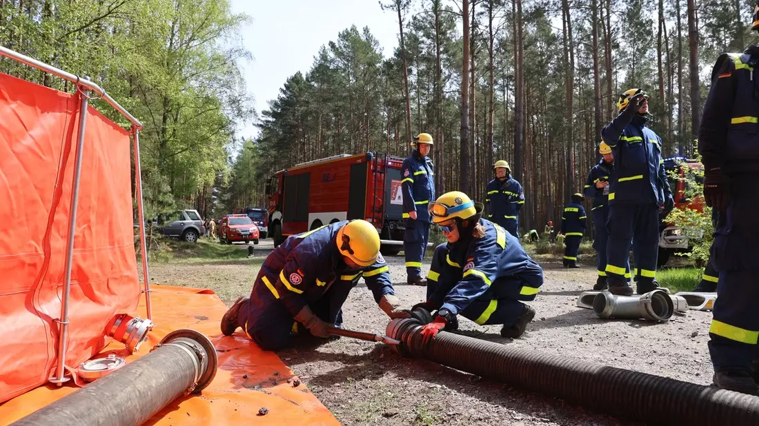 THW LVBEBBST: Technisches Hilfswerk und polnische Feuerwehr trainieren gemeinsam in Rzepin (Polen) Waldbrandbekämpfung - Bild: presseportal.de