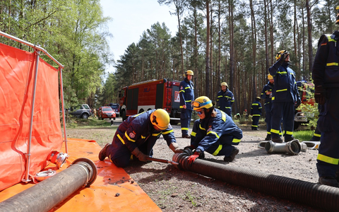 THW LVBEBBST: Technisches Hilfswerk und polnische Feuerwehr trainieren gemeinsam in Rzepin (Polen) Waldbrandbekämpfung - Foto: presseportal.de