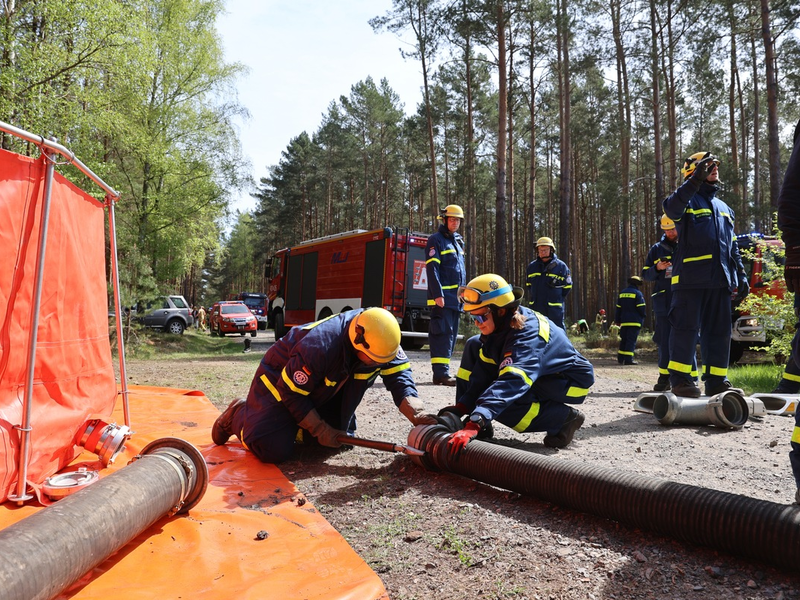 THW LVBEBBST: Technisches Hilfswerk und polnische Feuerwehr trainieren gemeinsam in Rzepin (Polen) Waldbrandbekämpfung - Foto: presseportal.de