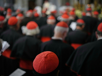 Die KardinÀle wÀhlen den Nachfolger des am Ostermontag gestorbenen Papst Franziskus. - Foto: Andrew Medichini/AP/dpa
