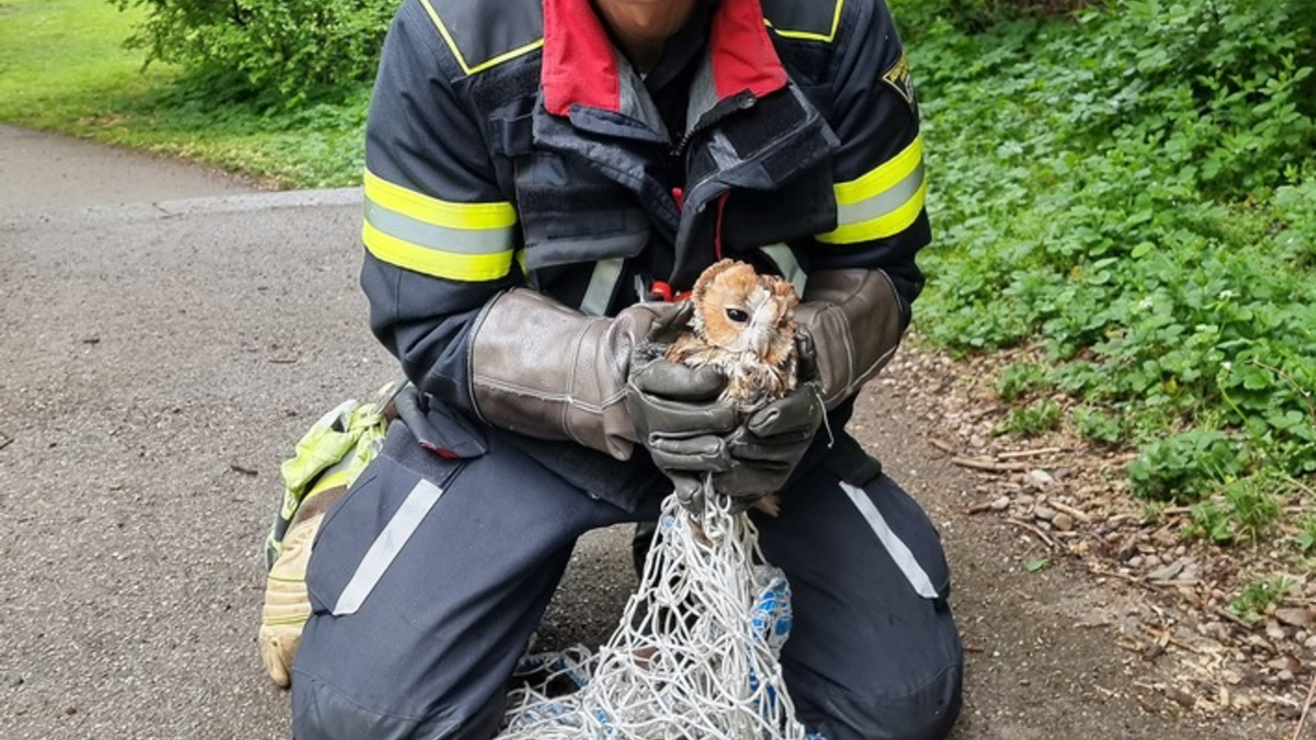 FW-M: Wochenendrückblick der Feuerwehr München (25. - 27. April 2025) - Foto: presseportal.de