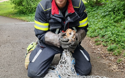 FW-M: Wochenendrückblick der Feuerwehr München (25. - 27. April 2025) - Foto: presseportal.de