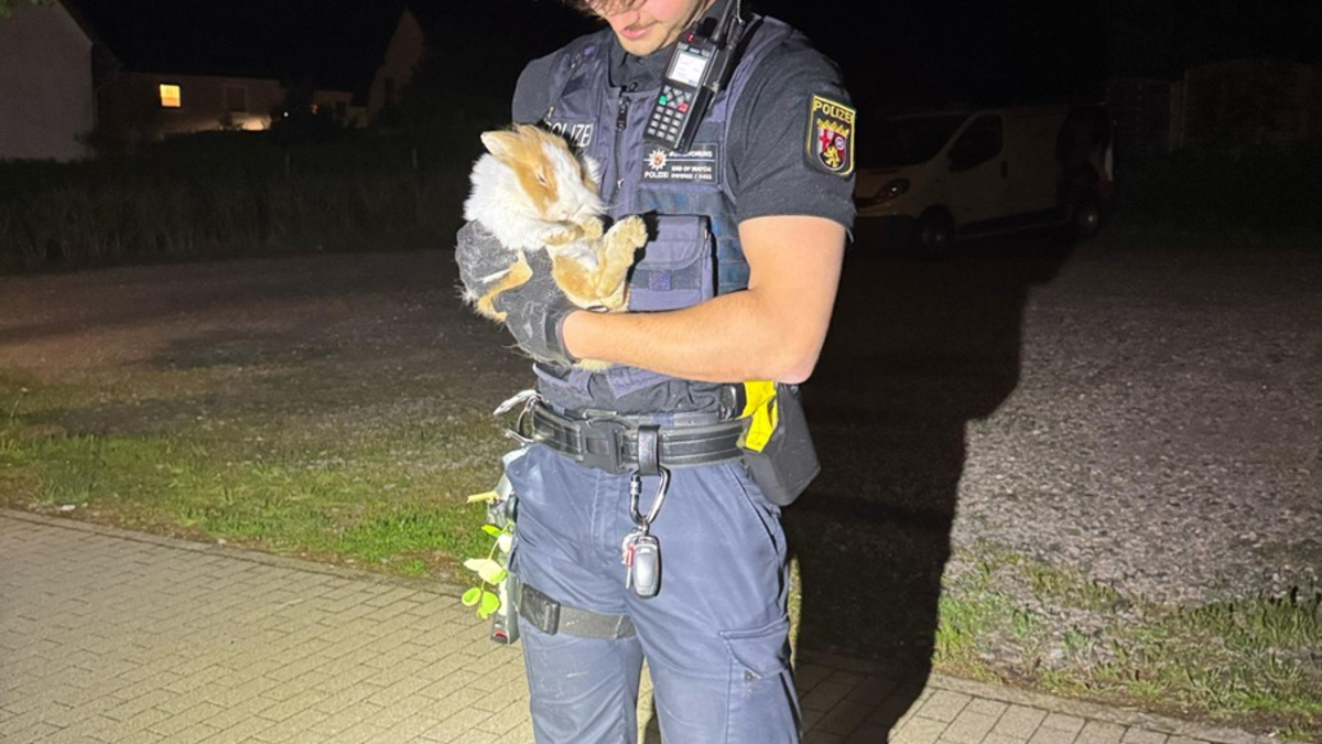 POL-PDPS: Tierischer Einsatz am Wochenende - Foto: presseportal.de