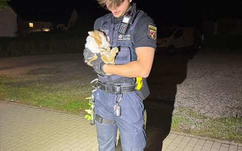 POL-PDPS: Tierischer Einsatz am Wochenende - Foto: presseportal.de