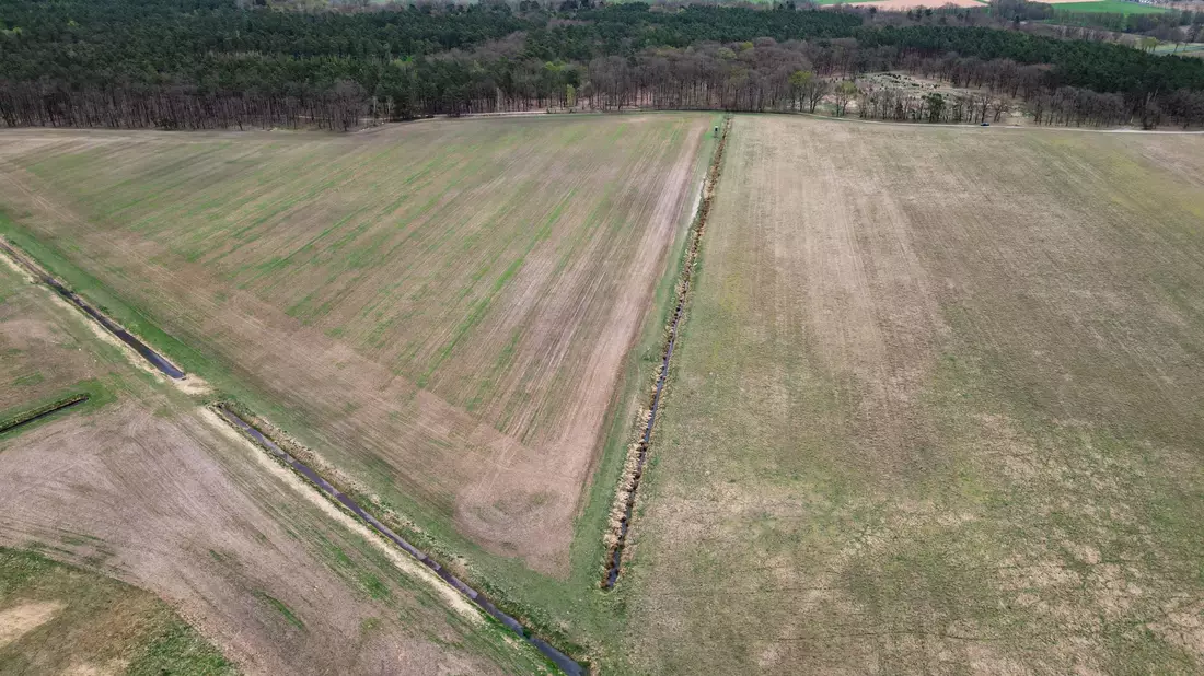 Mitte April und vertrocknetes Gras - Blick auf eine Wiese im Landkreis Oberhavel in Brandenburg (Aufnahme mit einer Drohne). (Archivbild) - Bild: Soeren Stache/dpa