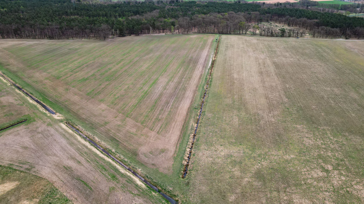 Mitte April und vertrocknetes Gras - Blick auf eine Wiese im Landkreis Oberhavel in Brandenburg (Aufnahme mit einer Drohne). (Archivbild) - Foto: Soeren Stache/dpa