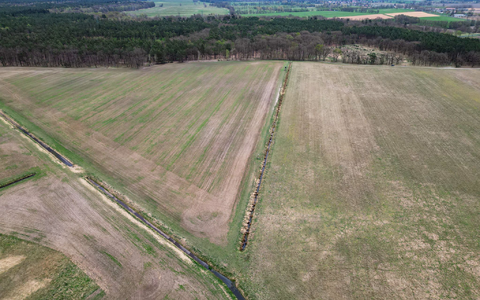 Mitte April und vertrocknetes Gras - Blick auf eine Wiese im Landkreis Oberhavel in Brandenburg (Aufnahme mit einer Drohne). (Archivbild) - Foto: Soeren Stache/dpa
