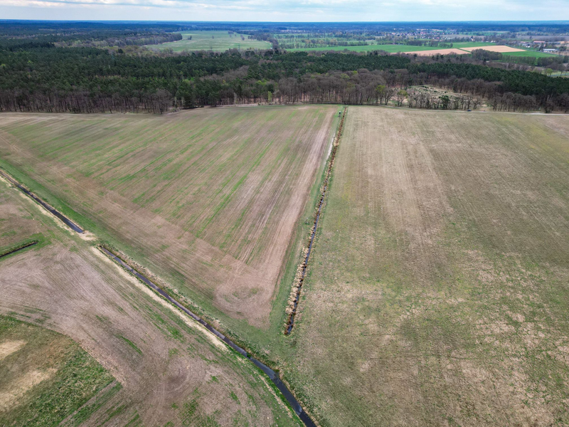Mitte April und vertrocknetes Gras - Blick auf eine Wiese im Landkreis Oberhavel in Brandenburg (Aufnahme mit einer Drohne). (Archivbild) - Foto: Soeren Stache/dpa