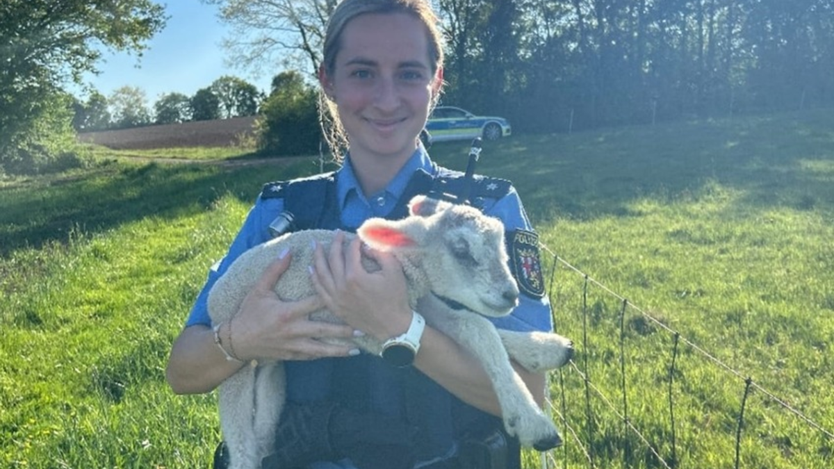 POL-PIZW: Tierretter in der Not - Foto: presseportal.de