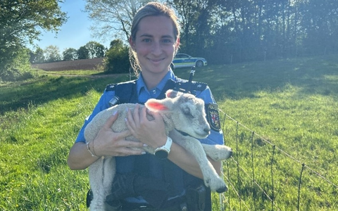 POL-PIZW: Tierretter in der Not - Foto: presseportal.de