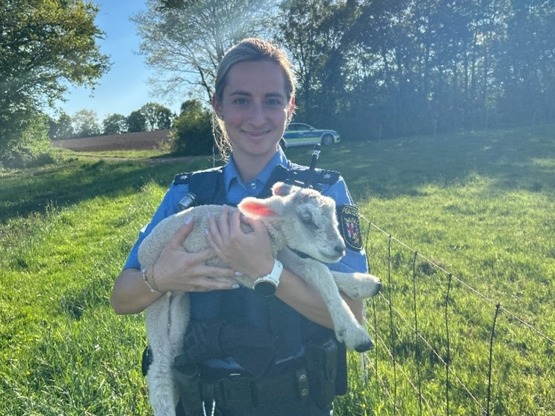 POL-PIZW: Tierretter in der Not - Foto: presseportal.de