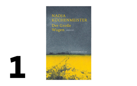 1. Platz der SWR Bestenliste im Mai 2025: Der Große Wagen - Foto: presseportal.de