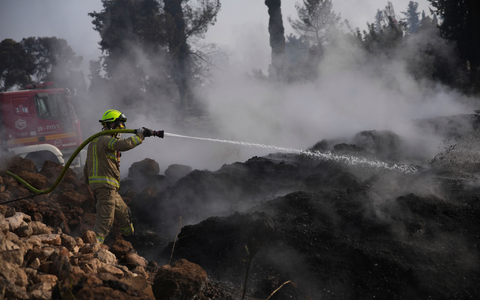 Seit Mittwoch toben in der Gegend um Jerusalem schwere Waldbrände. - Foto: Ohad Zwigenberg/AP/dpa