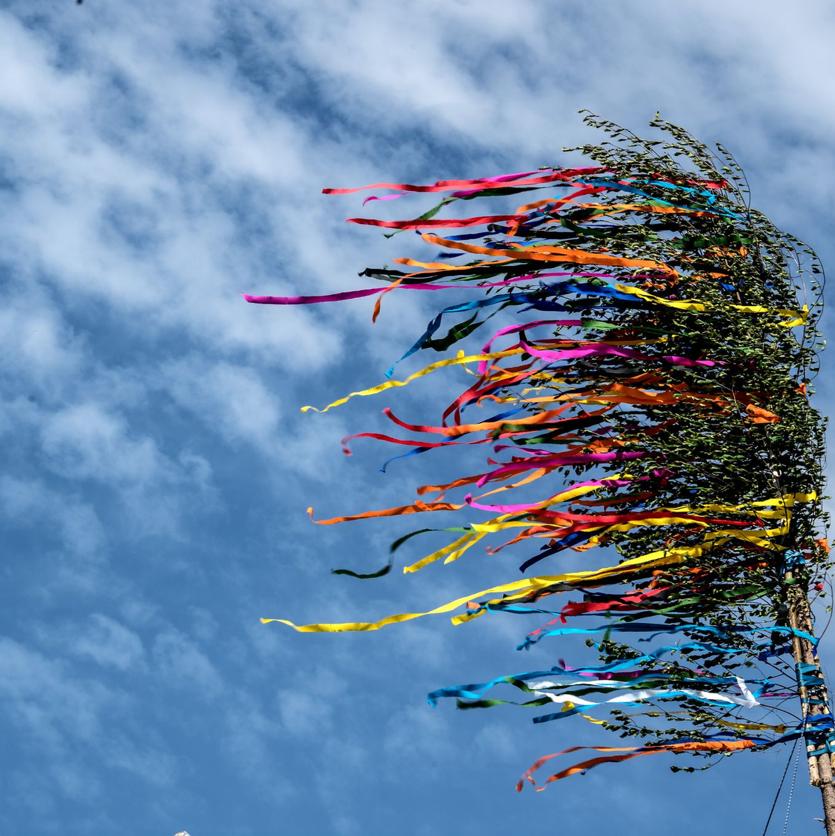 Am Niederrhein ist ein Maibaum umgekippt - es gibt mehrere Verletzte. (Illustration) - Foto: Federico Gambarini/dpa