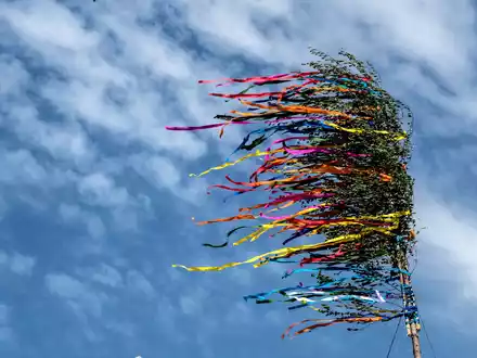 Am Niederrhein ist ein Maibaum umgekippt - es gibt mehrere Verletzte. (Illustration) - Foto: Federico Gambarini/dpa