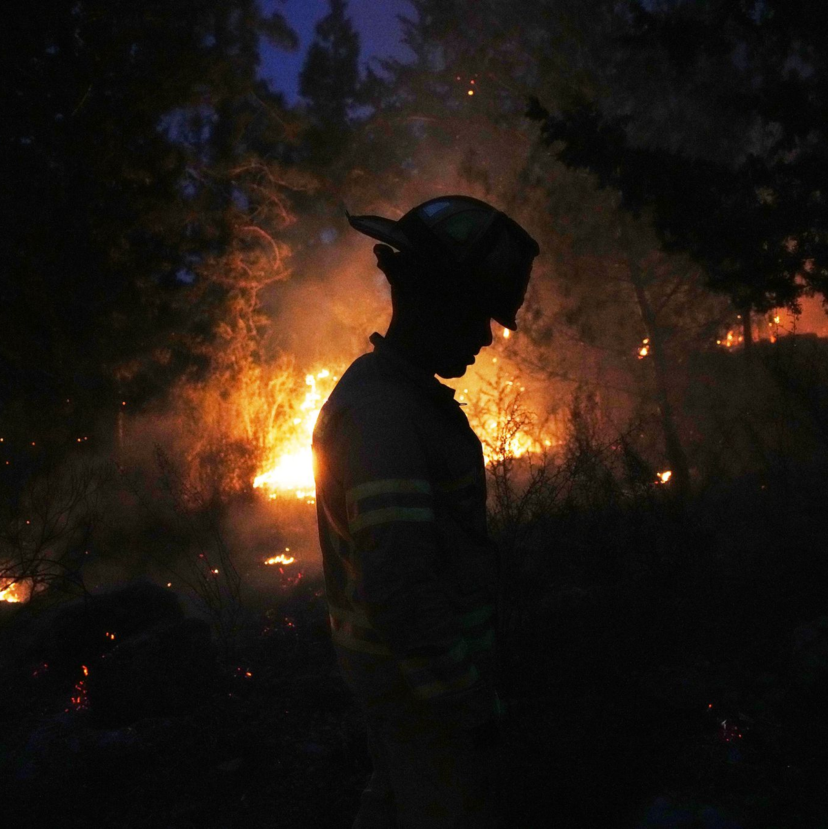 Waldbrände bei Jerusalem.  - Foto: Ohad Zwigenberg/AP/dpa
