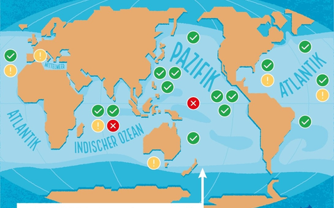 Am 2. Mai ist Weltthunfischtag - und es gibt endlich gute Nachrichten! - Foto: presseportal.de